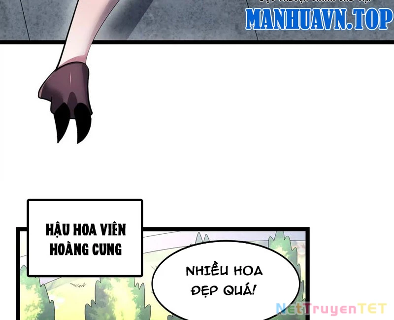Bản Sao Của Tôi Là Trùng Vương Không Gian Chapter 13 - Trang 2