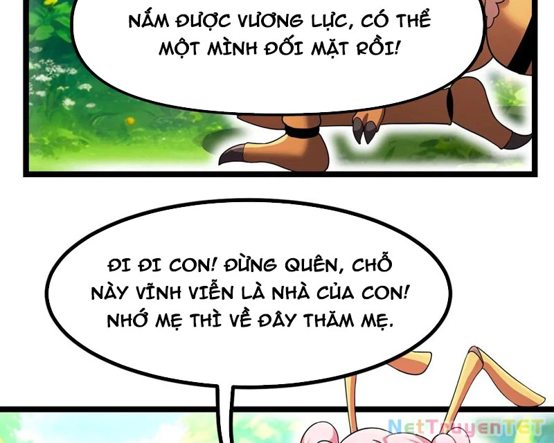 Bản Sao Của Tôi Là Trùng Vương Không Gian Chapter 13 - Trang 2
