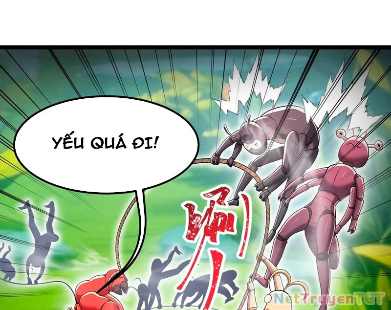 Bản Sao Của Tôi Là Trùng Vương Không Gian Chapter 15 - Trang 2