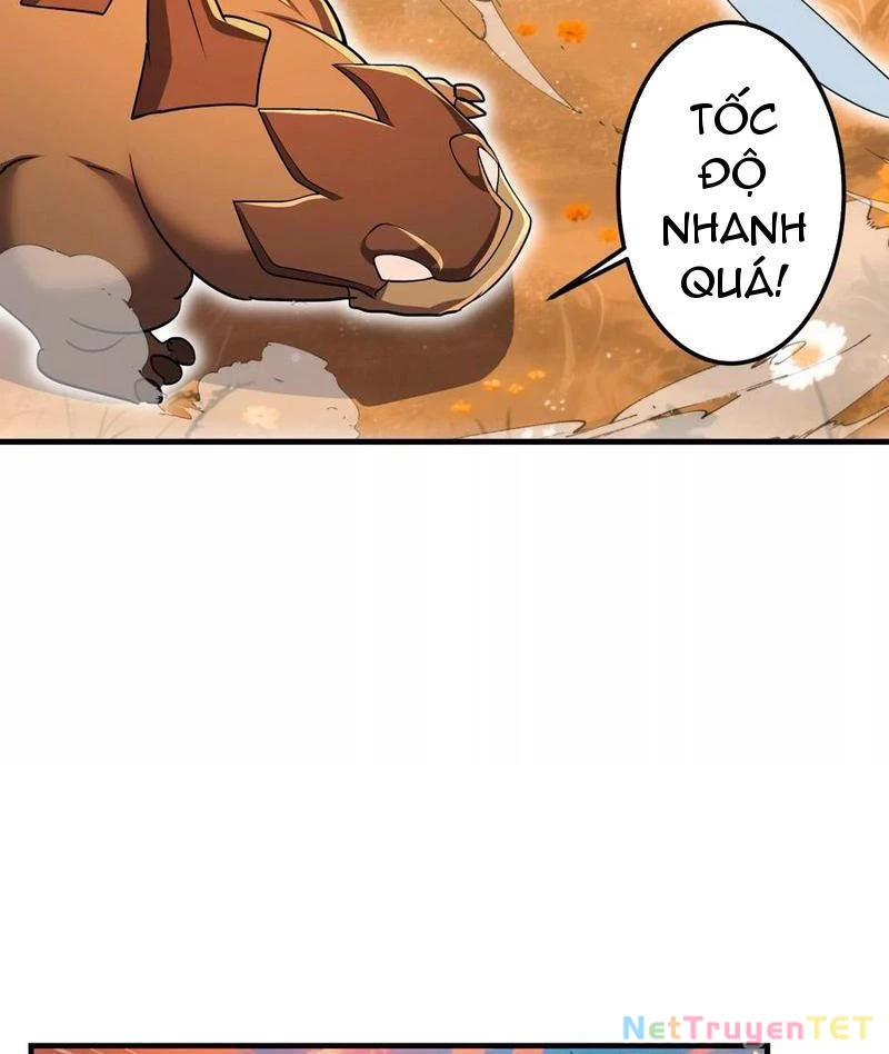 Bản Sao Của Tôi Là Trùng Vương Không Gian Chapter 23 - Next Chapter 24