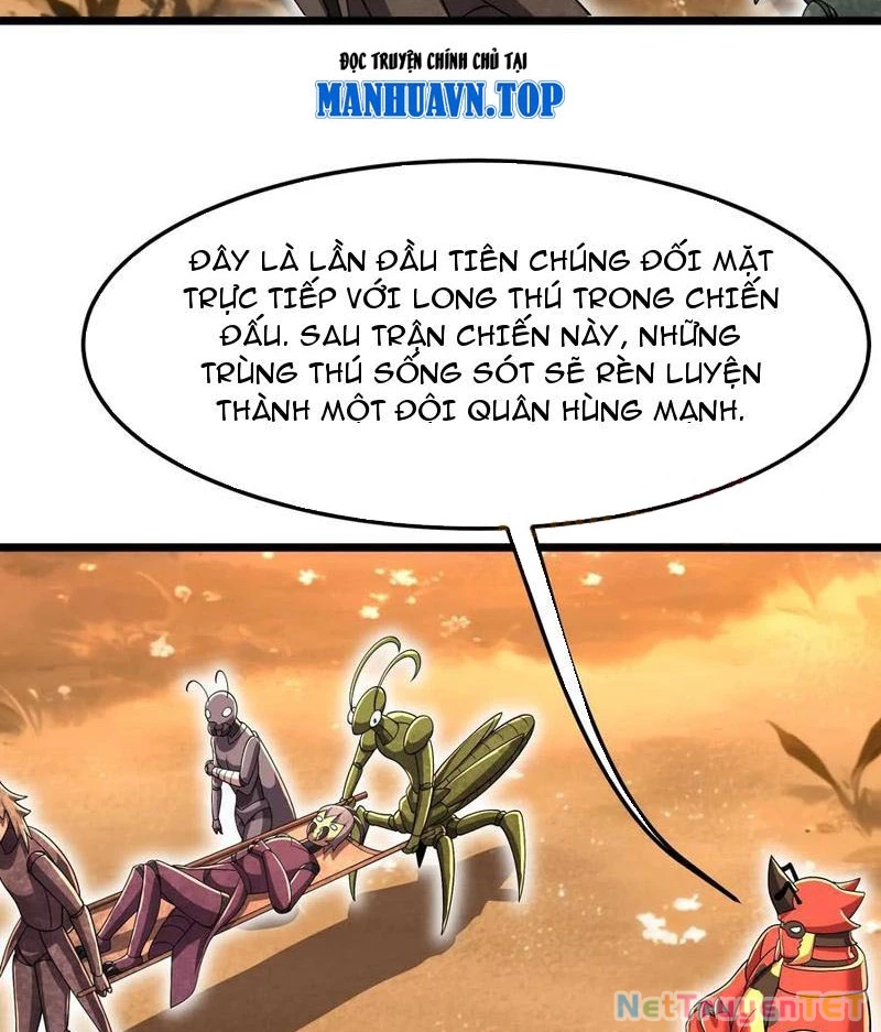 Bản Sao Của Tôi Là Trùng Vương Không Gian Chapter 26 - Next Chapter 27
