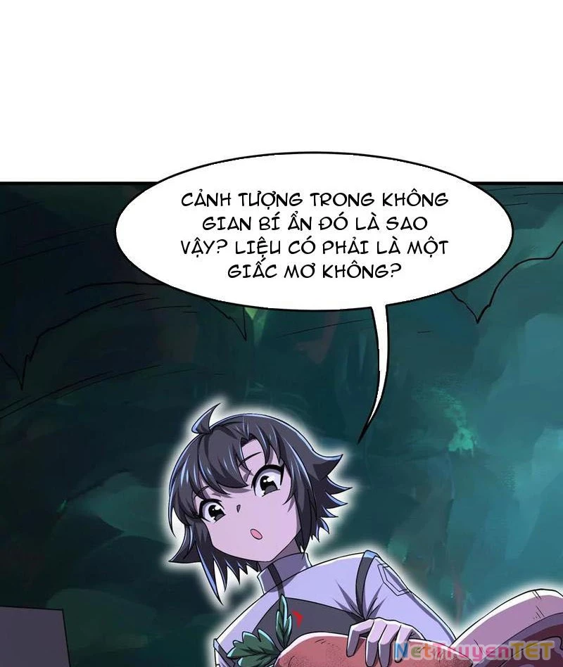 Bản Sao Của Tôi Là Trùng Vương Không Gian Chapter 26 - Next Chapter 27