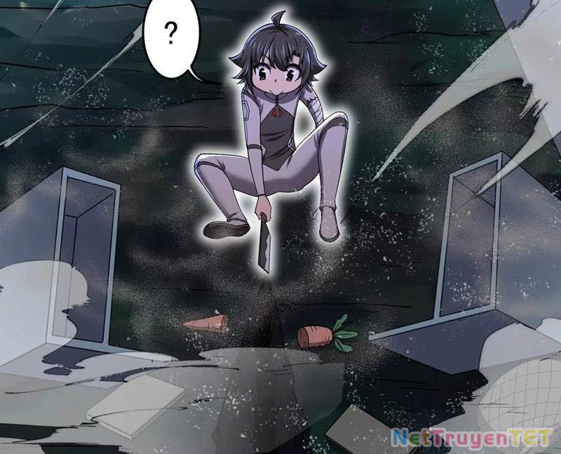 Bản Sao Của Tôi Là Trùng Vương Không Gian Chapter 26 - Next Chapter 27