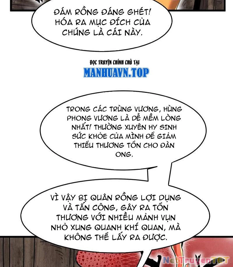 Bản Sao Của Tôi Là Trùng Vương Không Gian Chapter 28 - Trang 2