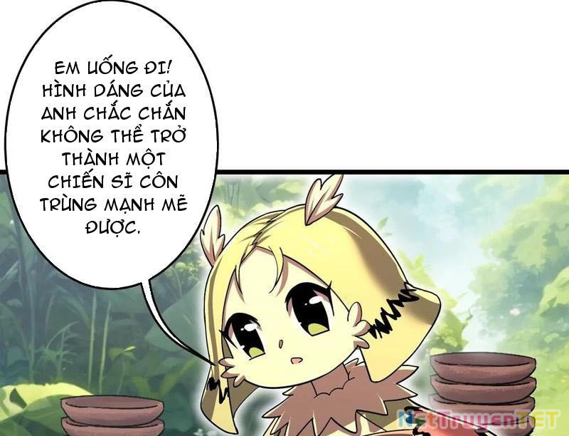 Bản Sao Của Tôi Là Trùng Vương Không Gian Chapter 29 - Trang 2