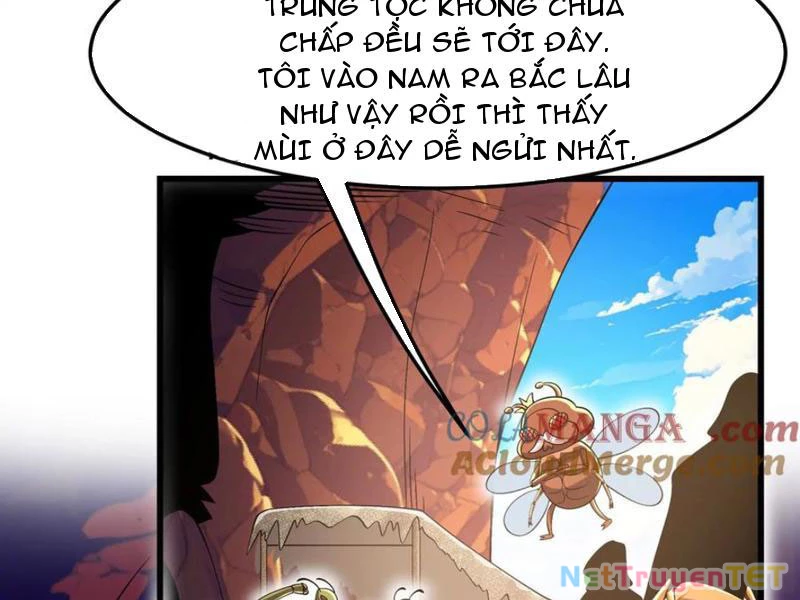 Bản Sao Của Tôi Là Trùng Vương Không Gian Chapter 32 - Trang 2