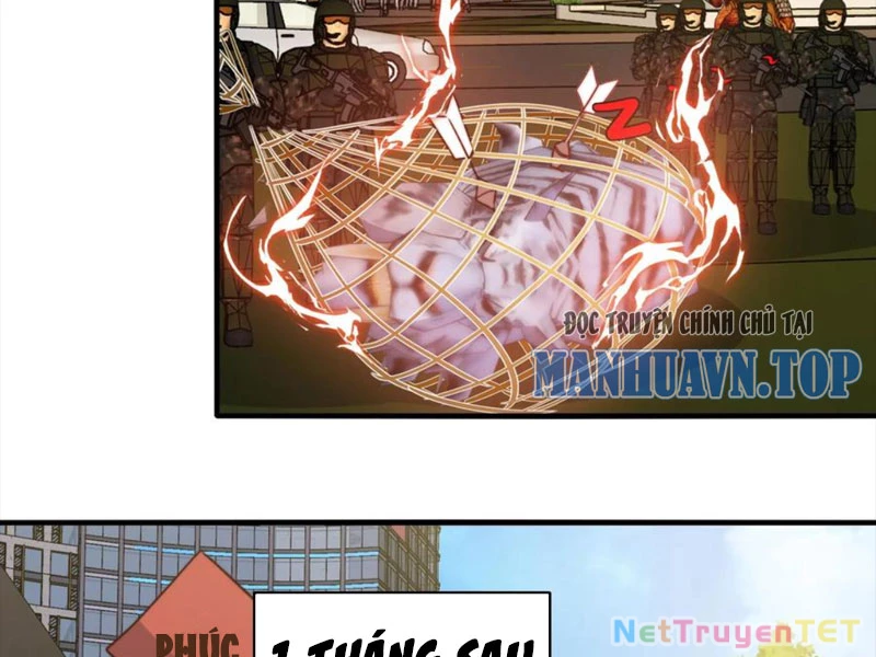 Slime ta treo cự long lên đánh là hợp lý nhỉ? Chapter 166 - Next Chapter 167