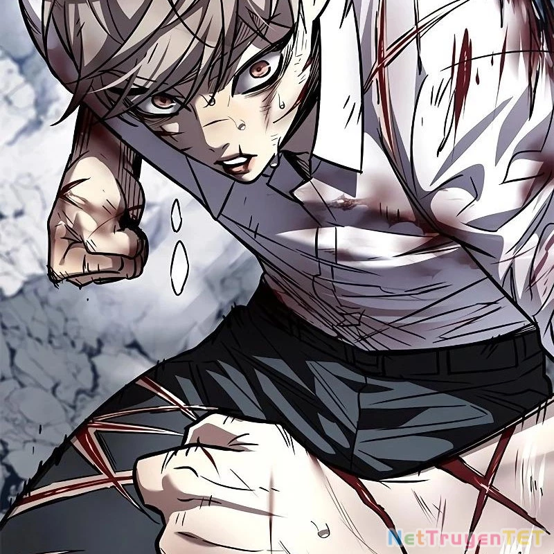 Hoá Thân Thành Mèo Chapter 335 - Trang 4