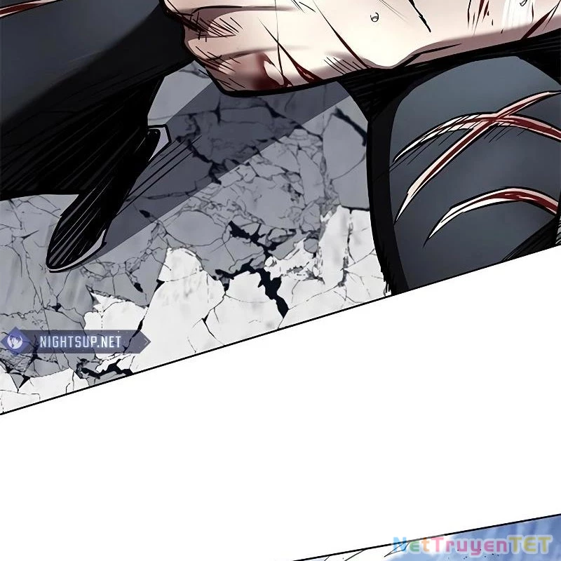 Hoá Thân Thành Mèo Chapter 335 - Trang 4