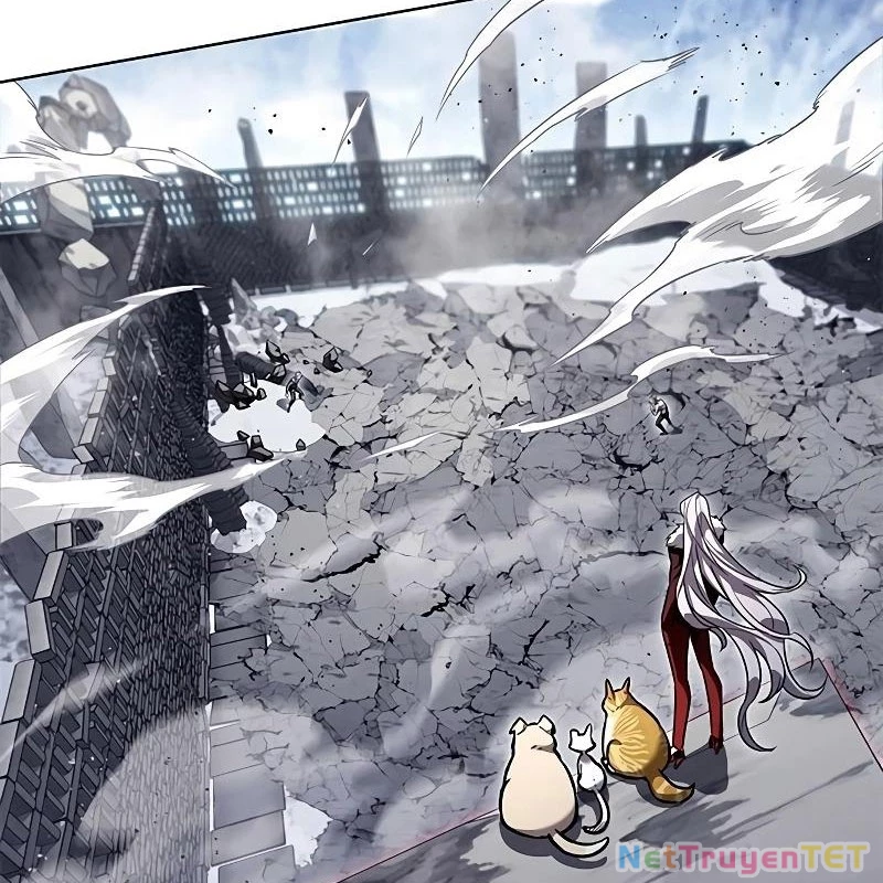 Hoá Thân Thành Mèo Chapter 335 - Trang 4