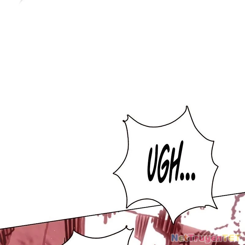 Hoá Thân Thành Mèo Chapter 335 - Trang 4