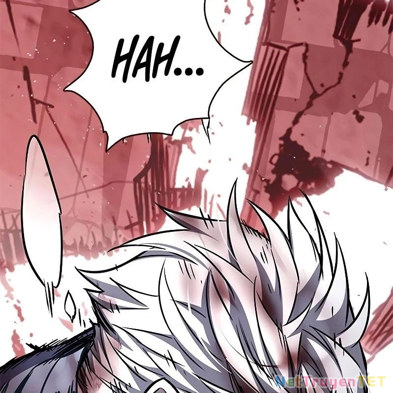 Hoá Thân Thành Mèo Chapter 335 - Trang 4