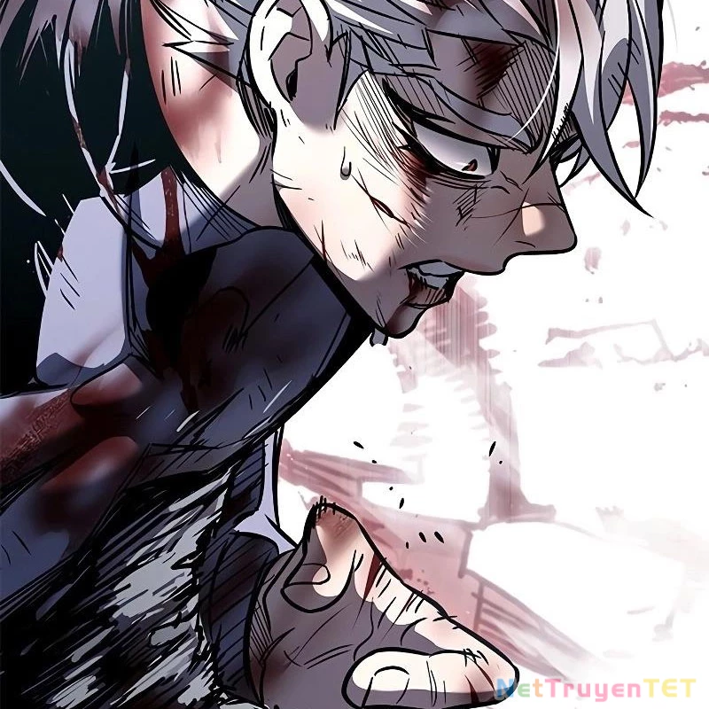 Hoá Thân Thành Mèo Chapter 335 - Trang 4