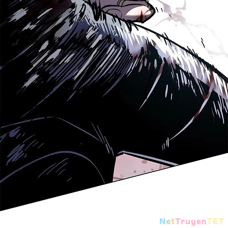 Hoá Thân Thành Mèo Chapter 335 - Trang 4