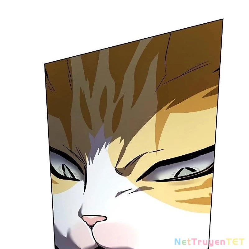 Hoá Thân Thành Mèo Chapter 335 - Trang 4