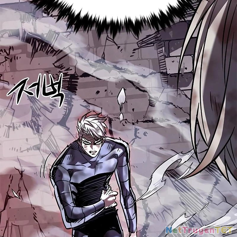 Hoá Thân Thành Mèo Chapter 335 - Trang 4