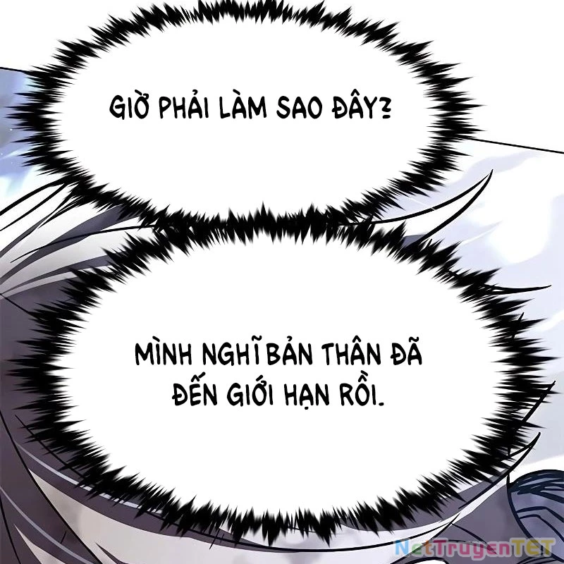 Hoá Thân Thành Mèo Chapter 335 - Trang 4
