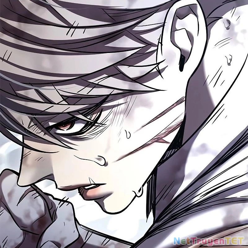 Hoá Thân Thành Mèo Chapter 335 - Trang 4