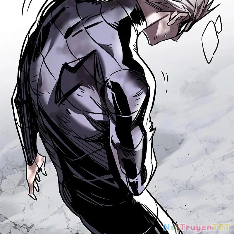 Hoá Thân Thành Mèo Chapter 335 - Trang 4