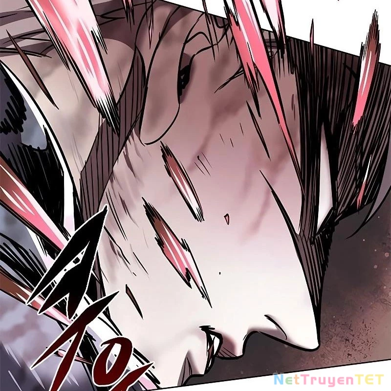 Hoá Thân Thành Mèo Chapter 335 - Trang 4