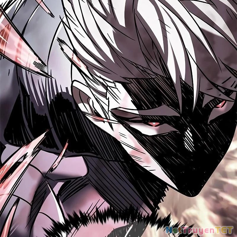 Hoá Thân Thành Mèo Chapter 335 - Trang 4