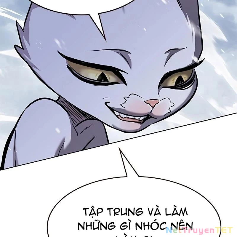 Hoá Thân Thành Mèo Chapter 335 - Trang 4