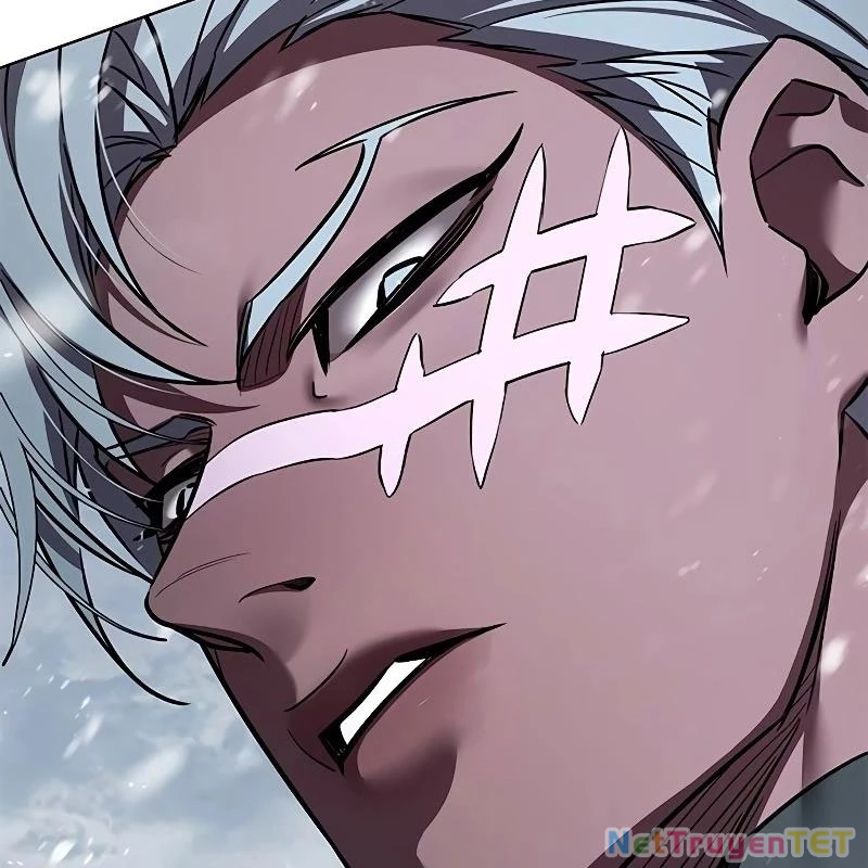 Hoá Thân Thành Mèo Chapter 335 - Trang 4