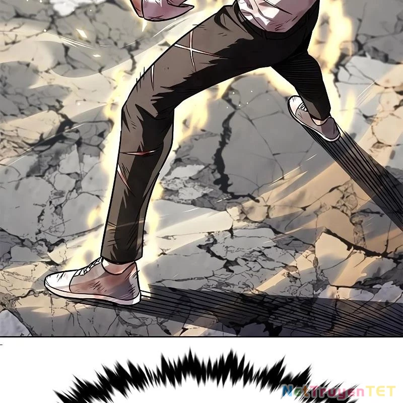 Hoá Thân Thành Mèo Chapter 335 - Trang 4