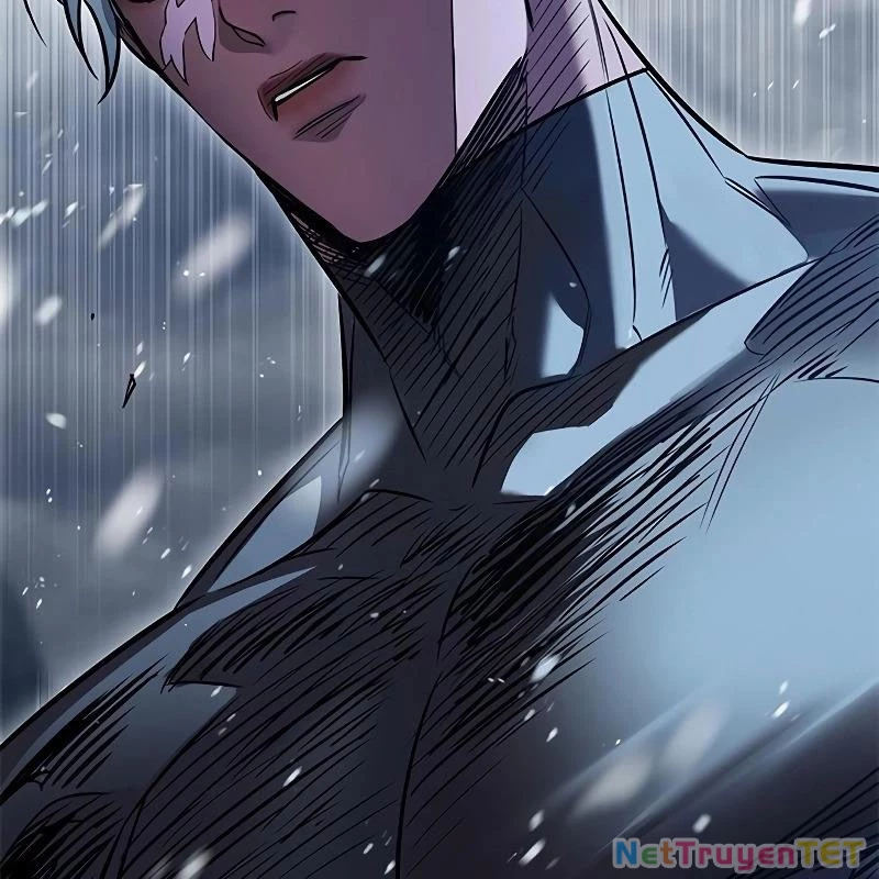 Hoá Thân Thành Mèo Chapter 335 - Trang 4