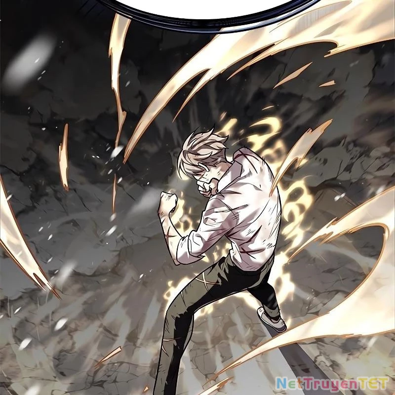 Hoá Thân Thành Mèo Chapter 335 - Trang 4