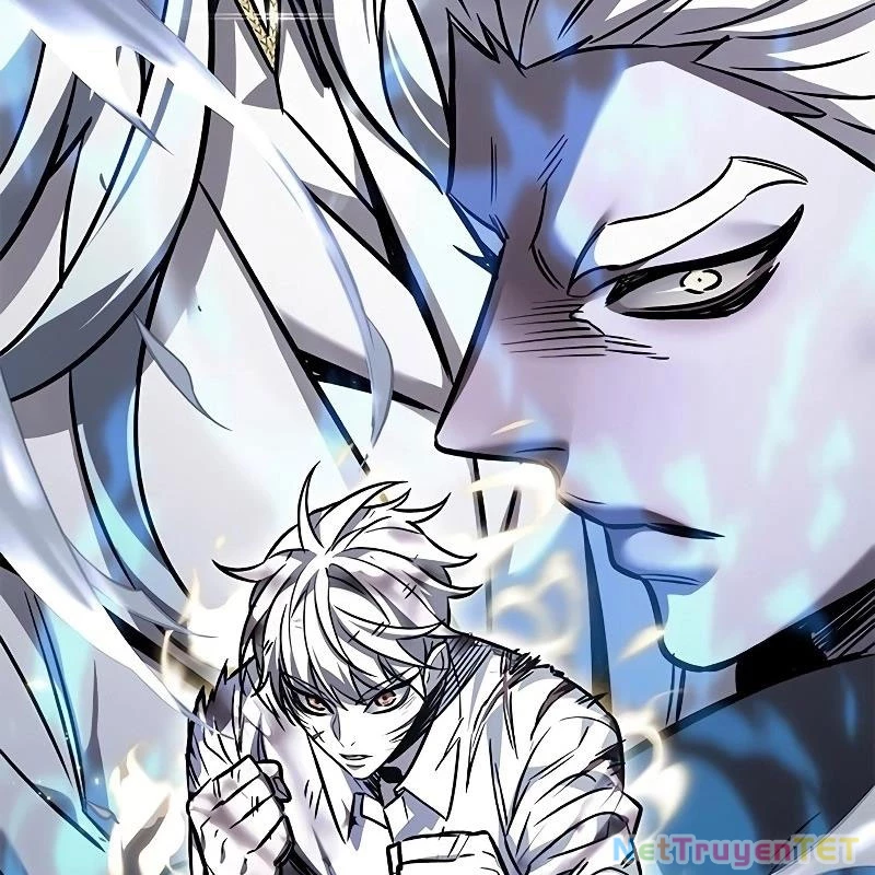 Hoá Thân Thành Mèo Chapter 335 - Trang 4