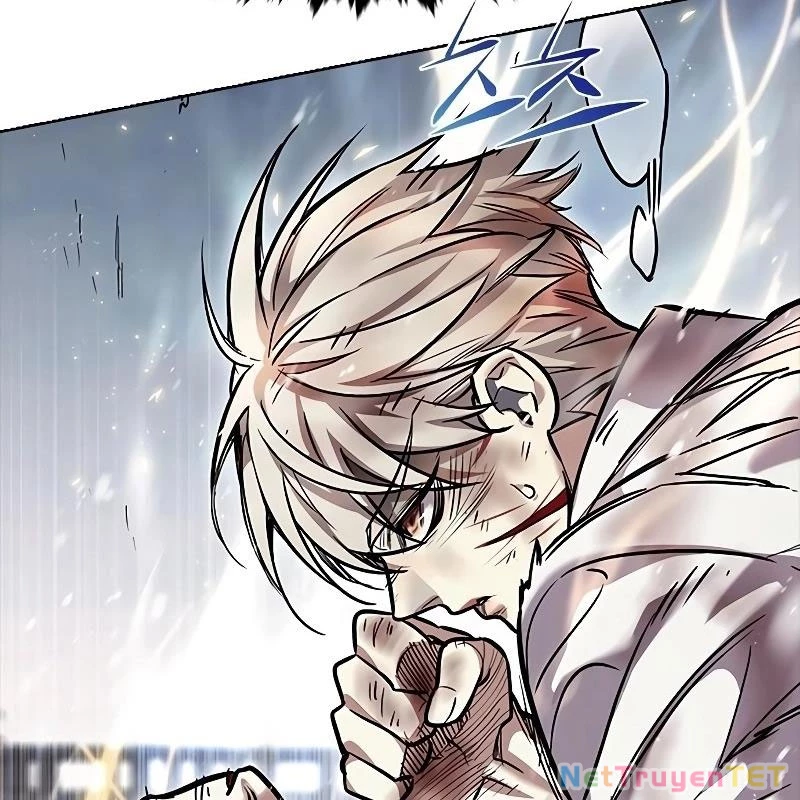 Hoá Thân Thành Mèo Chapter 335 - Trang 4