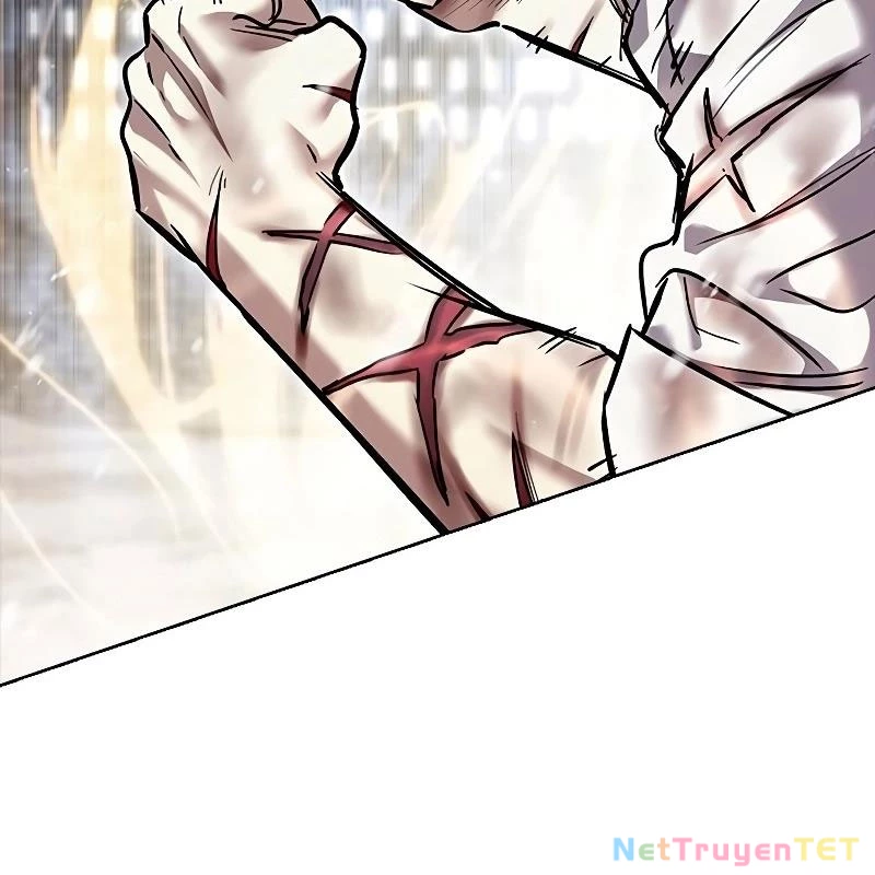 Hoá Thân Thành Mèo Chapter 335 - Trang 4