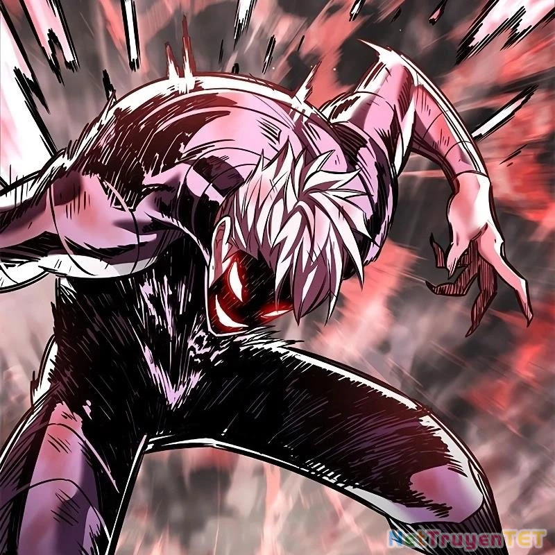 Hoá Thân Thành Mèo Chapter 335 - Trang 4