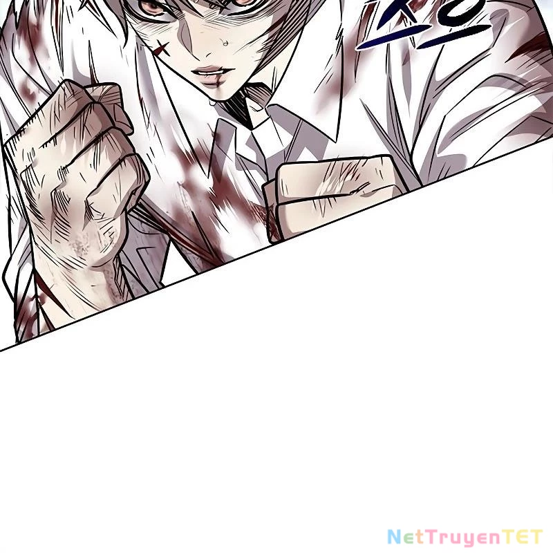 Hoá Thân Thành Mèo Chapter 335 - Trang 4