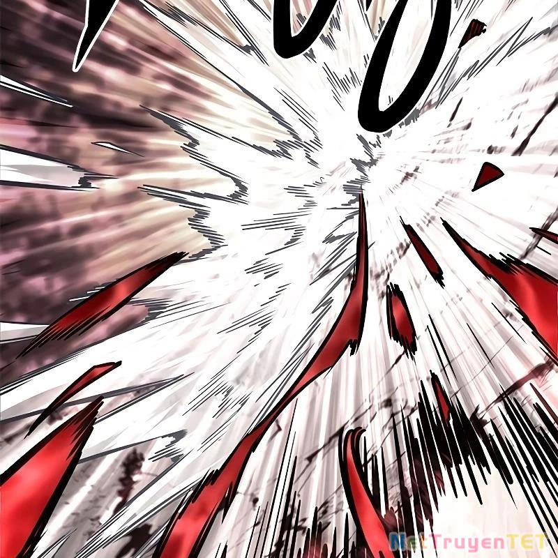 Hoá Thân Thành Mèo Chapter 335 - Trang 4