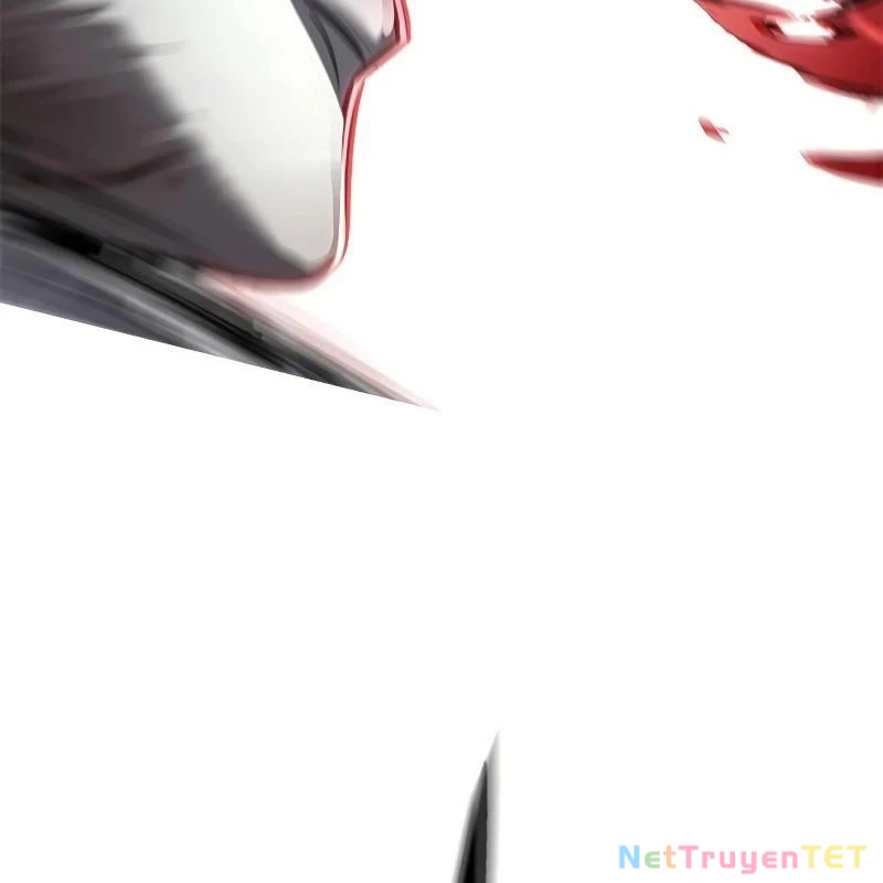 Hoá Thân Thành Mèo Chapter 335 - Trang 4