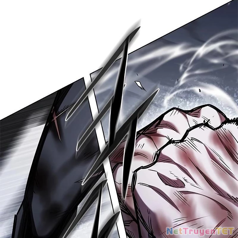 Hoá Thân Thành Mèo Chapter 335 - Trang 4