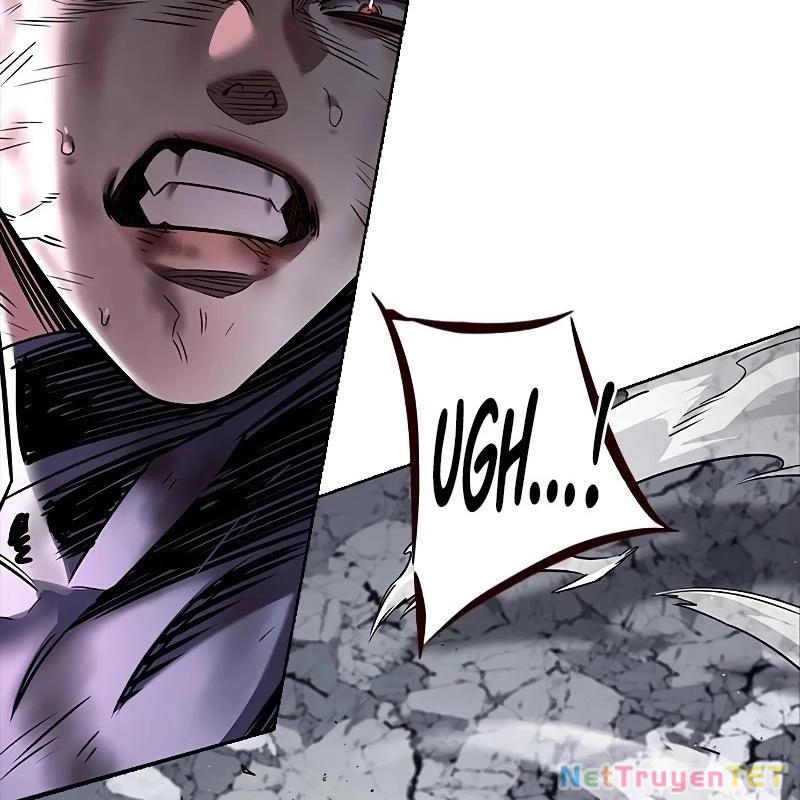 Hoá Thân Thành Mèo Chapter 335 - Trang 4