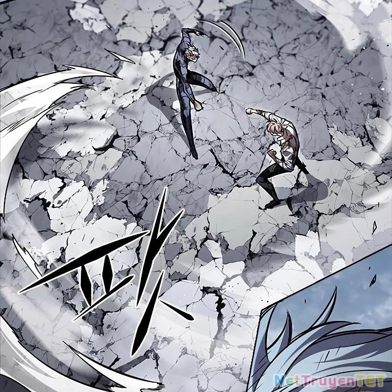 Hoá Thân Thành Mèo Chapter 335 - Trang 4