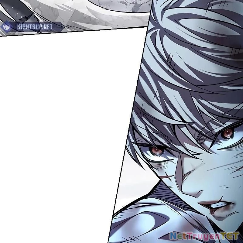 Hoá Thân Thành Mèo Chapter 335 - Trang 4