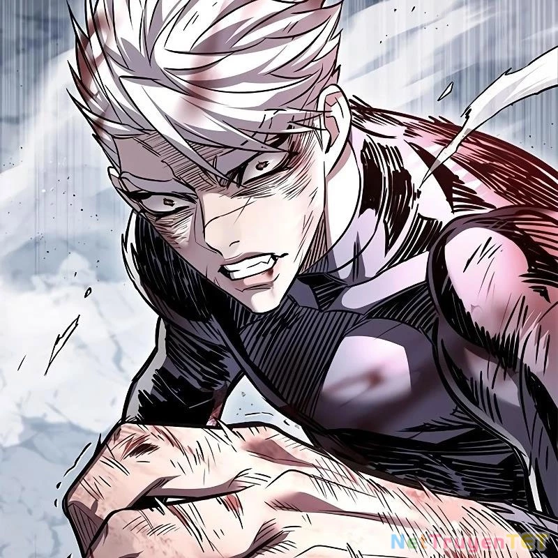 Hoá Thân Thành Mèo Chapter 335 - Trang 4