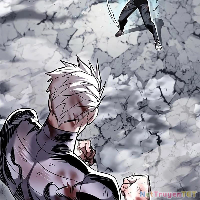 Hoá Thân Thành Mèo Chapter 335 - Trang 4