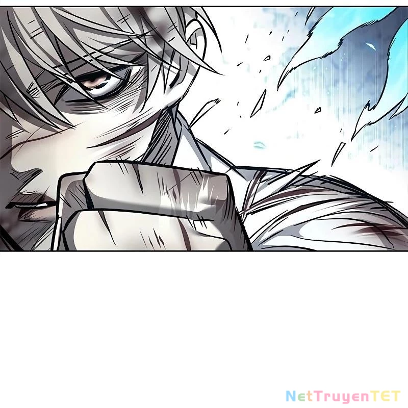 Hoá Thân Thành Mèo Chapter 335 - Trang 4