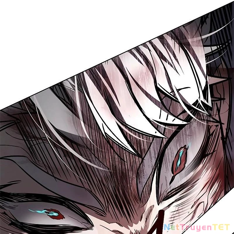 Hoá Thân Thành Mèo Chapter 335 - Trang 4