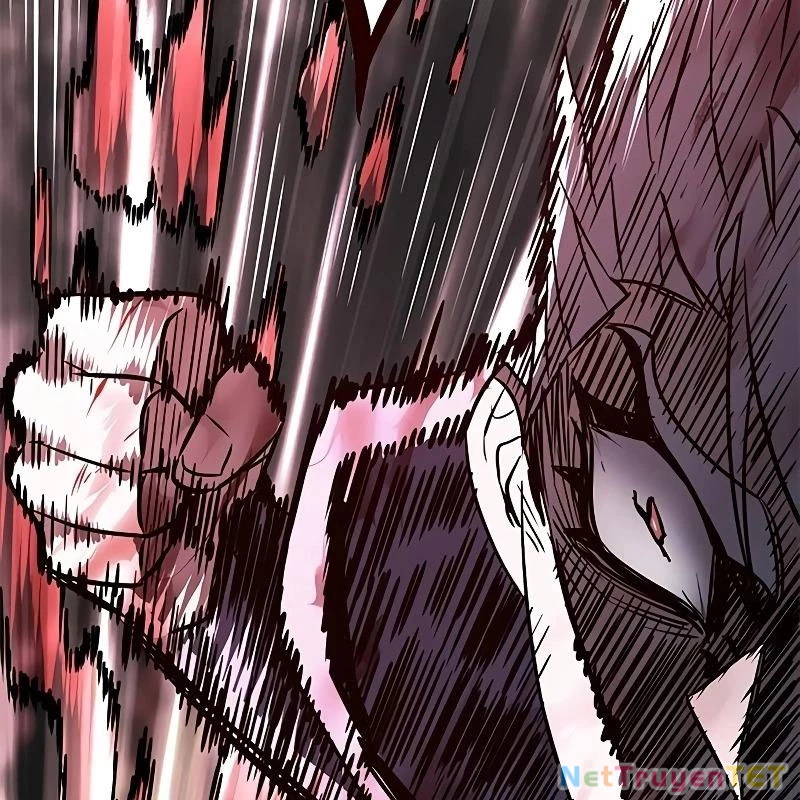 Hoá Thân Thành Mèo Chapter 335 - Trang 4