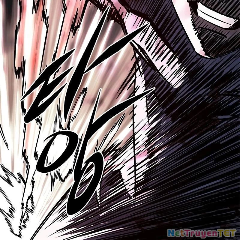 Hoá Thân Thành Mèo Chapter 335 - Trang 4