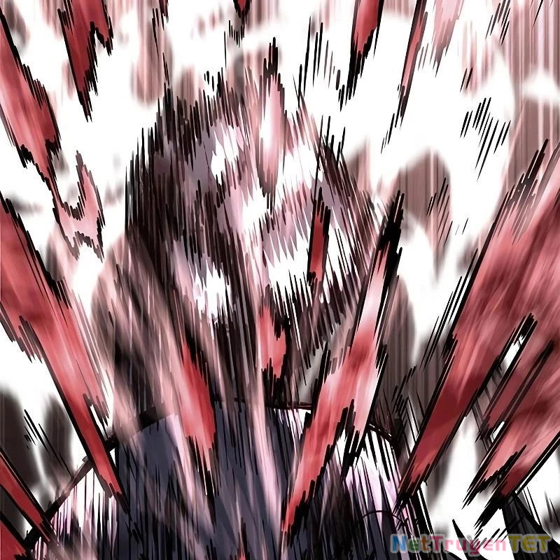 Hoá Thân Thành Mèo Chapter 335 - Trang 4