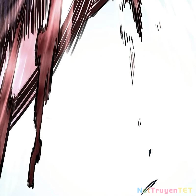 Hoá Thân Thành Mèo Chapter 335 - Trang 4