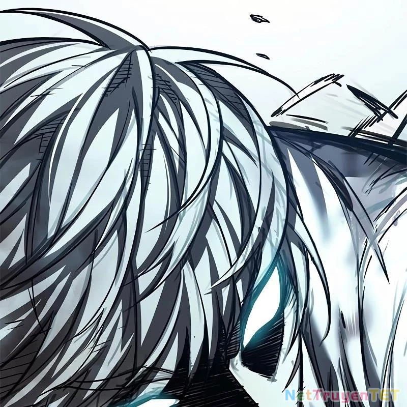 Hoá Thân Thành Mèo Chapter 335 - Trang 4